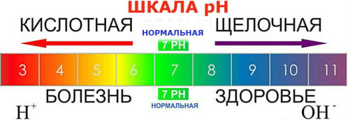 Шкала pH